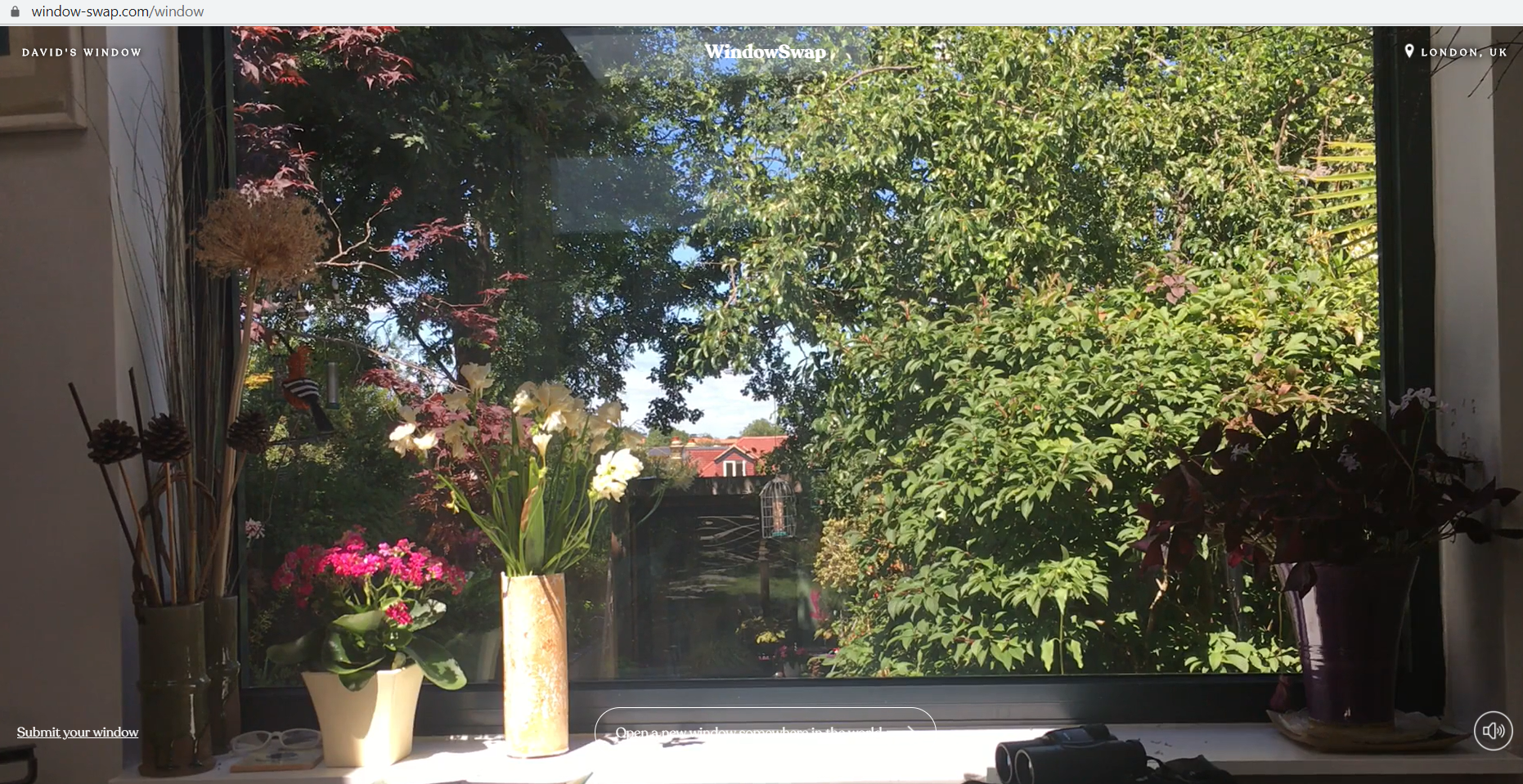 pencere1 Window-Swap - Look Through Someone Else's Window home