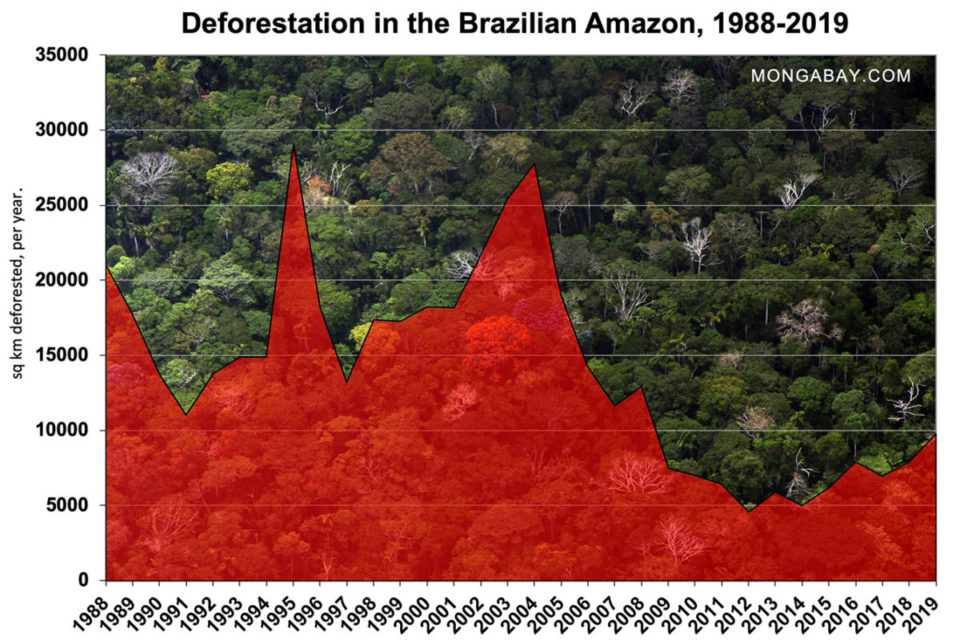 AMAZON-DEFORESTATION