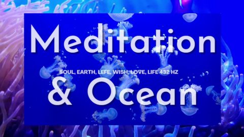 Meditation Ocean Youtube Cover Peace in the Heart - 432Hz Music - Ocean - Meditation Video Video