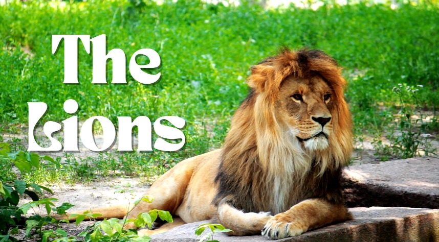 The Lions cover The Lions YouTube